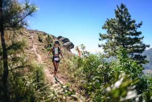 BIB: 
                            <button type="button" onclick="openModal(26604808)" class="btn btn-primary btn-sm float-right btn-popup" data-toggle="modal" data-target=".modal-high-quality">
                        <i class="fas fa-shopping-cart"></i> Add to Cart
                    </button>
                                            <button type="button" onclick="isThisMe(26604808, true)" class="btn btn-success btn-sm float-right btn-popup btn-isme hidden" data-toggle="tooltip" data-placement="bottom" title="นี่คือรูปของคุณใช่ไหม คลิกที่นี่เพื่อเอาเข้าอัลบั้ม">
                        <i class="fas fa-plus"></i> Add to album
                    </button>
                    <button type="button" onclick="isThisMe(26604808, false)" class="btn btn-warning btn-sm float-right btn-popup btn-isnotme hidden">
                        <i class="fas fa-ban"></i> Remove from album
                    </button>